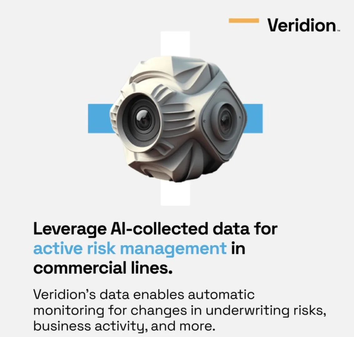veridion risk management feature