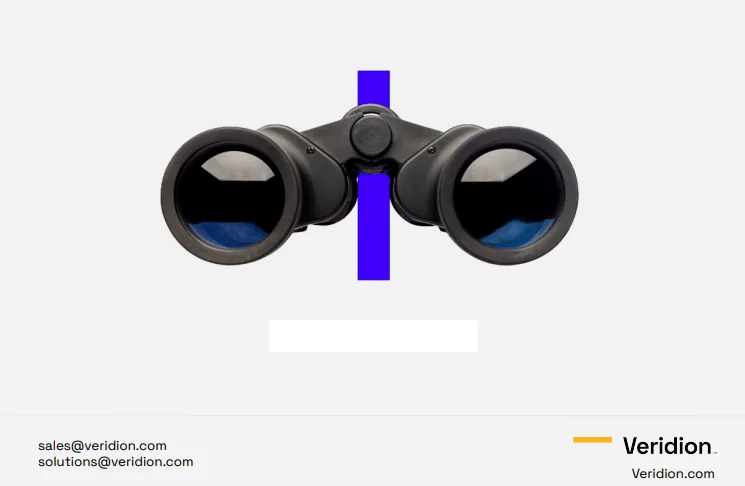 veridion tool screenshot