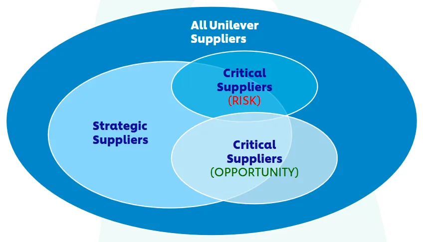 Unilever’s supplier segmentation - strategic suppliers, critical suppliers (risk), critical suppliers (opportunity)