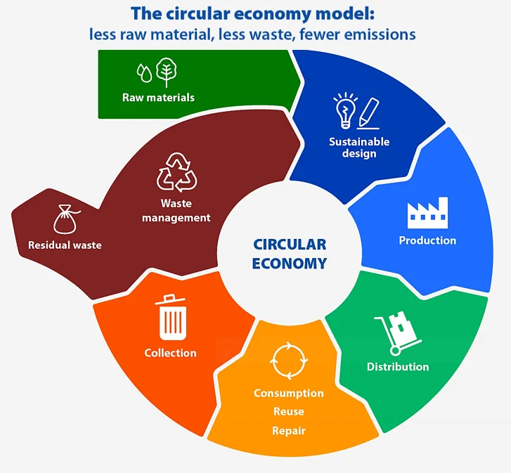 Infographic of the circular economy model including raw materials, sustainable design, production, distribution, consumption, collection, and waste management