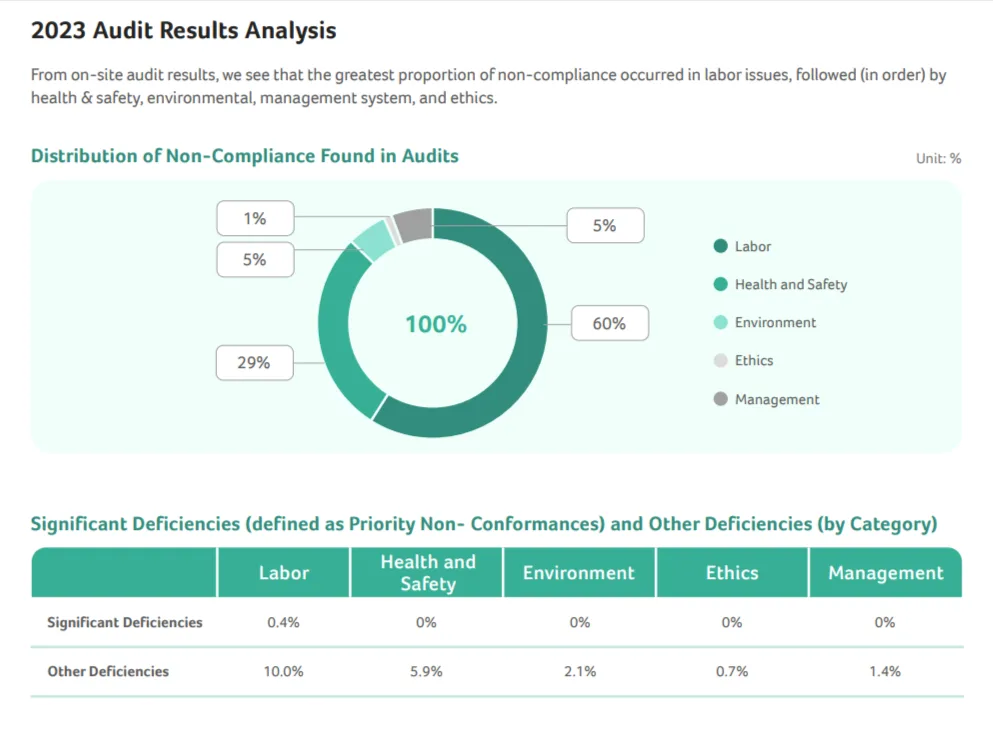 2023 audit result analysis statistic