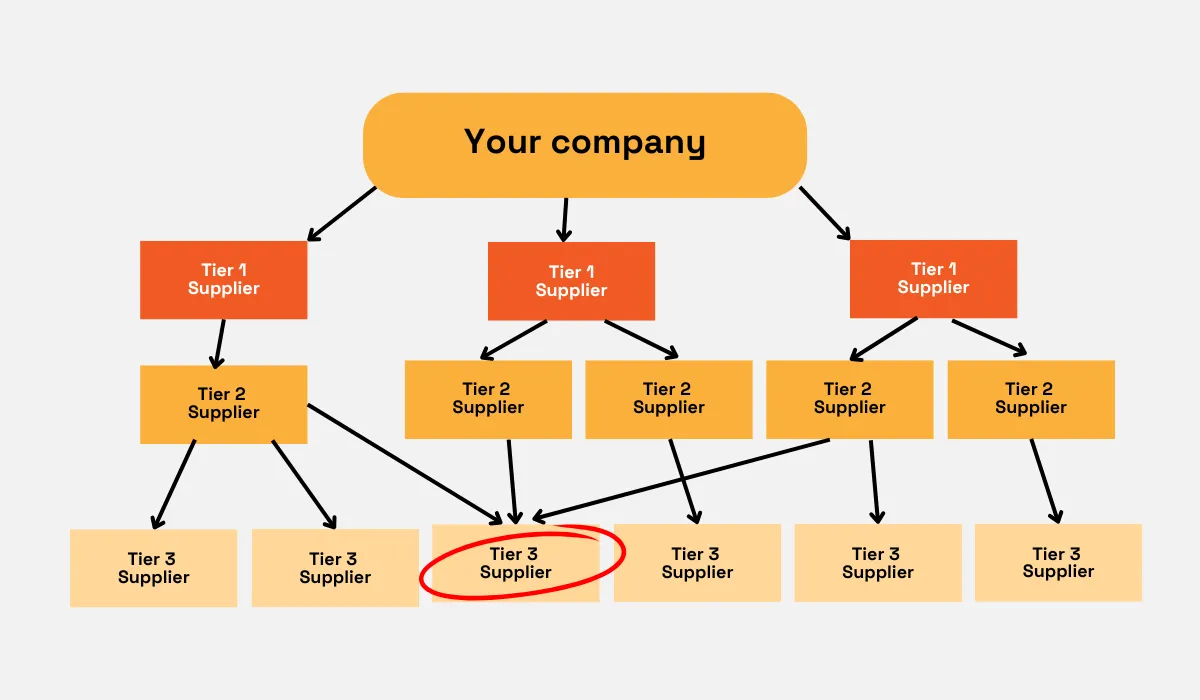 Supplier tiers and connections, with Tier 3 supplier circled organizational chart