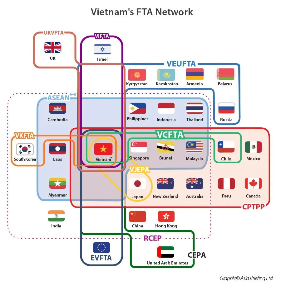 Vietnam's Free Trade Agreement network with partner countries grouped by agreement types infographic