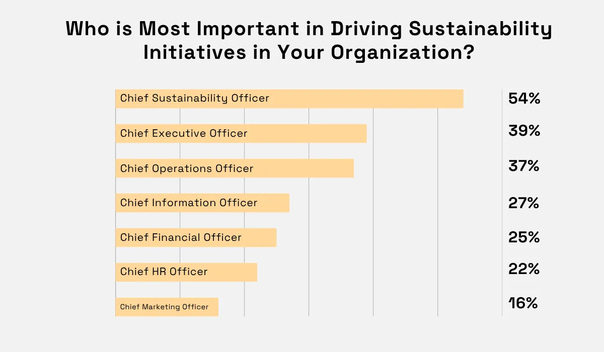 Which executives are seen as most important in driving sustainability initiatives, with Chief Sustainability Officer at 54% and Chief Marketing Officer at 16% horizontal bar chart