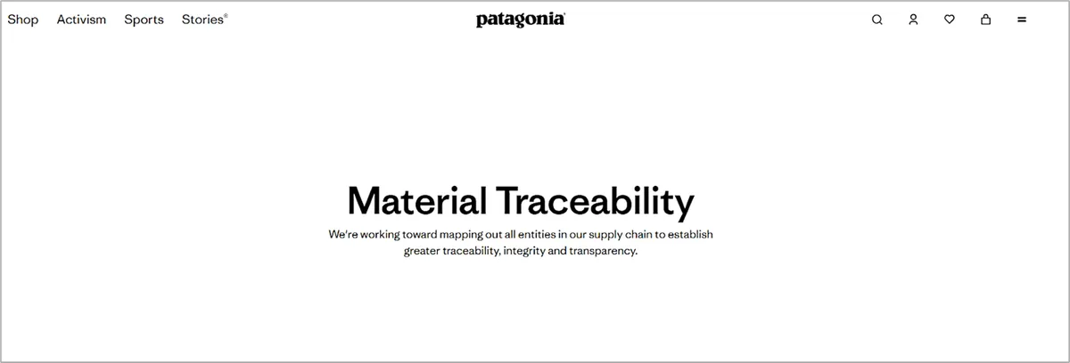 Patagonia dashboard
