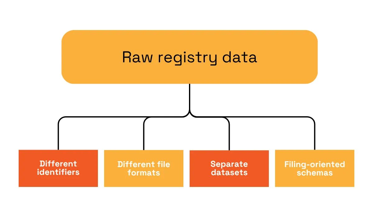 Raw registry data structure challenges infographic