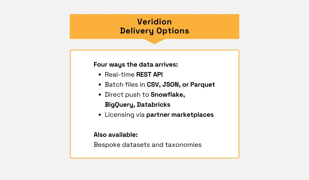 Veridion delivery options include REST API, batch files, data warehouse push and partner marketplaces