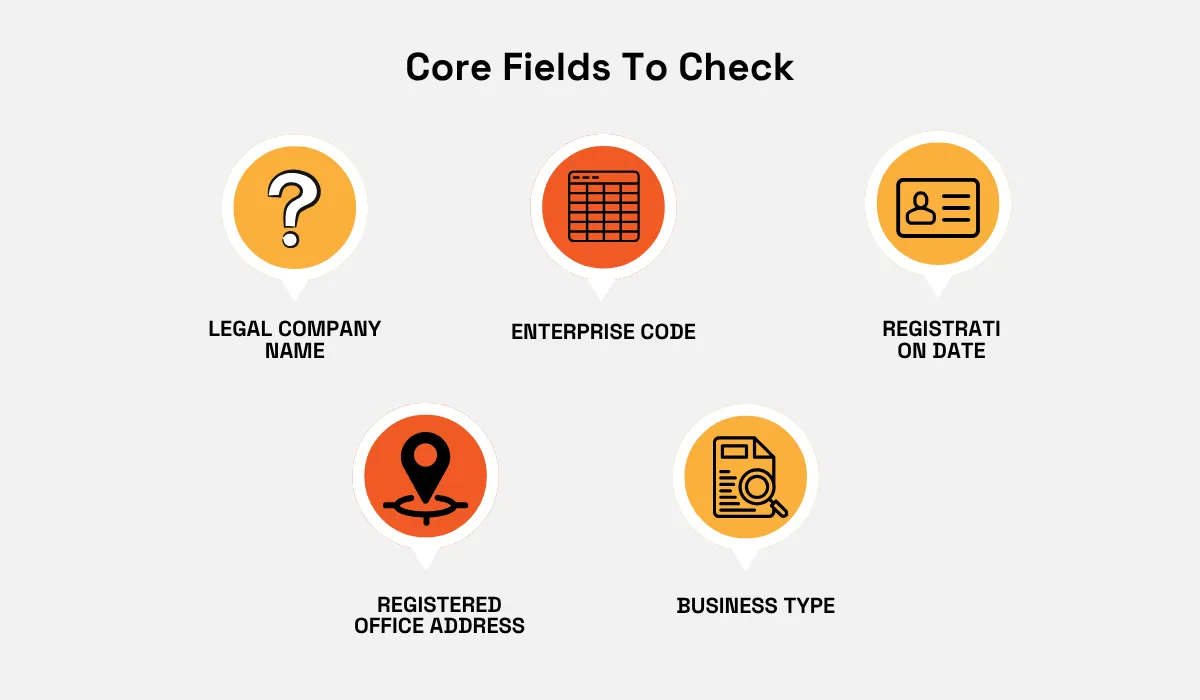 Core company verification fields: legal name, enterprise code, registration date, address and business type
