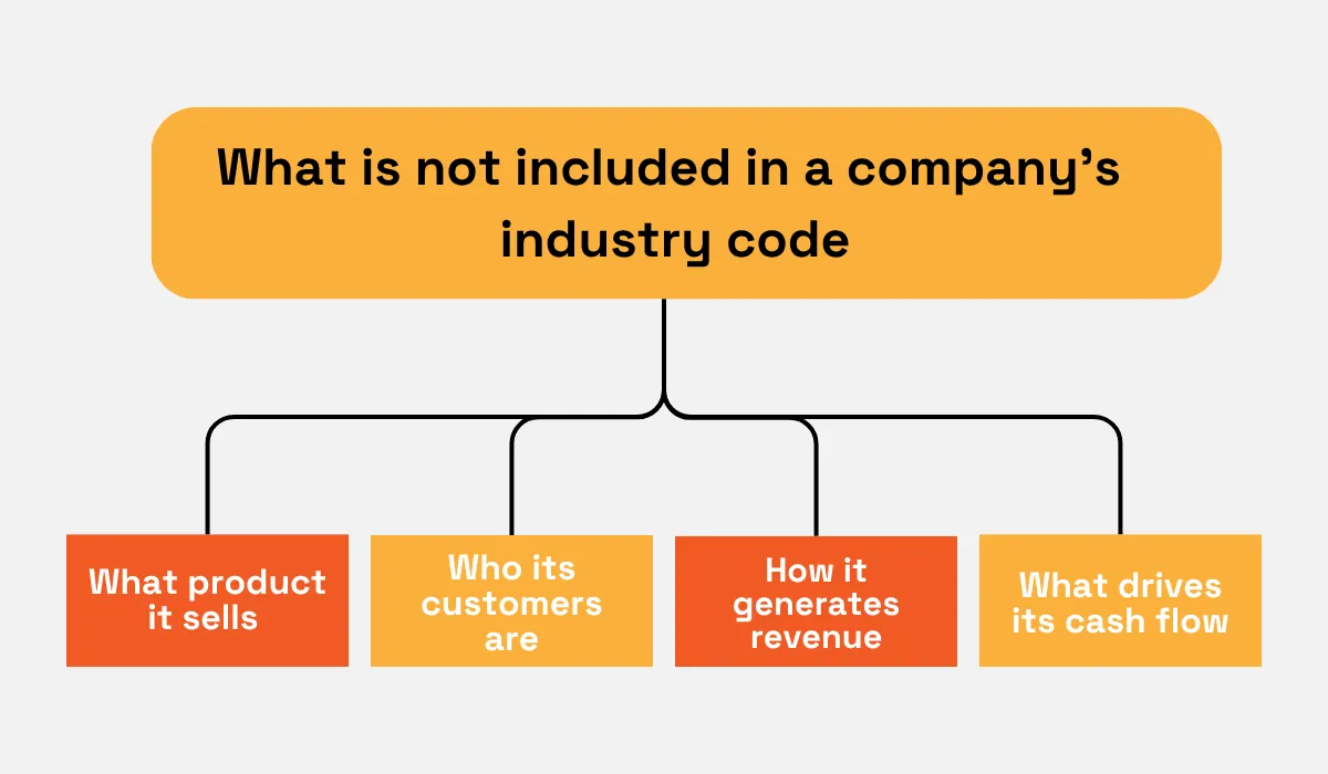 Information that is not captured by a company’s industry code, including the products it sells, who its customers are, how it generates revenue, and what drives its cash flow diagram