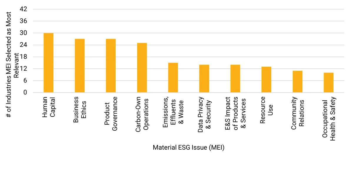 Bar chart ranking material ESG issues by number of industries, led by human capital at 30
