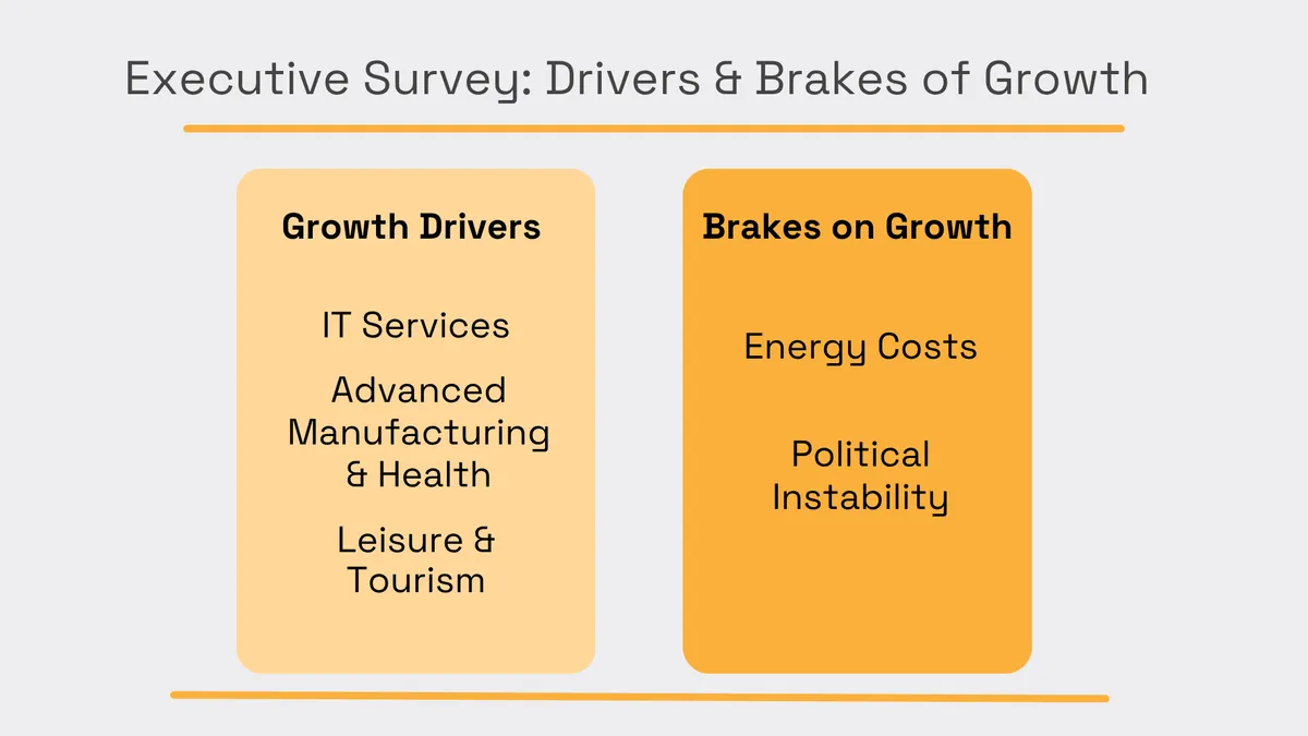 Executive survey of growth drivers and barriers, including energy costs and political instability