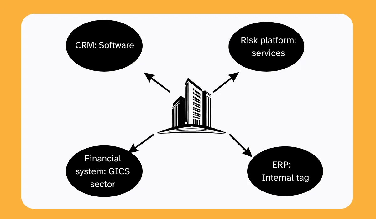 One company classified differently across systems: CRM as software, risk platform as services, financial system by GICS sector, and ERP with an internal tag diagram