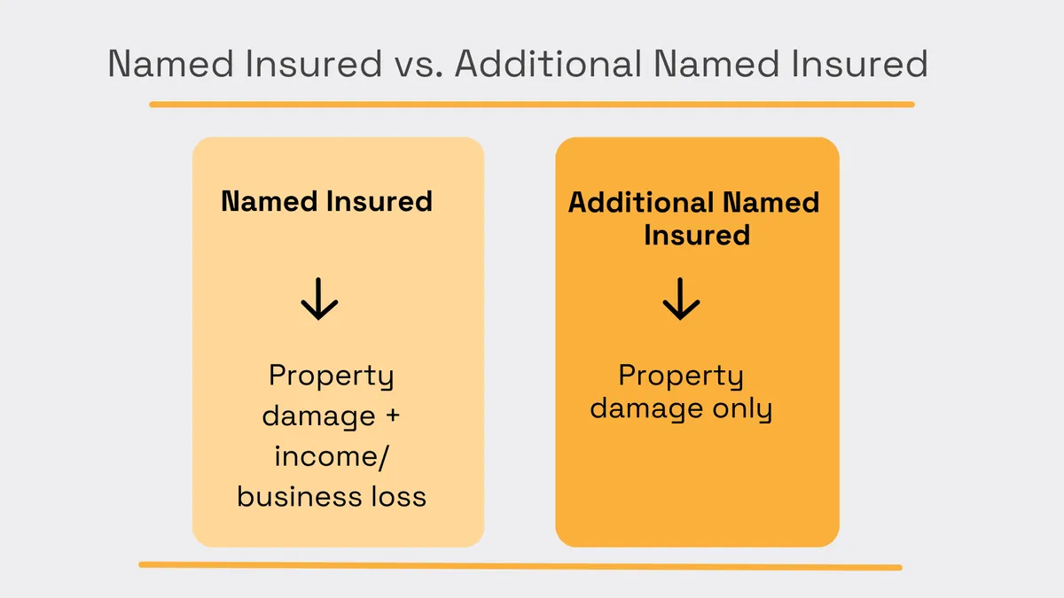 Comparison of named insured and additional named insured coverage