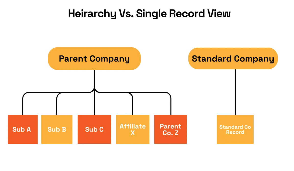 Company hierarchy linking a parent to subsidiaries and affiliates versus a single company record