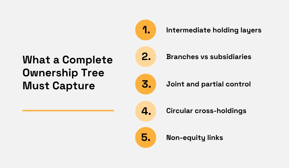 Diagram listing five elements a complete ownership tree should capture: intermediate holding layers, branches versus subsidiaries, joint and partial control, circular cross-holdings, and non-equity links
