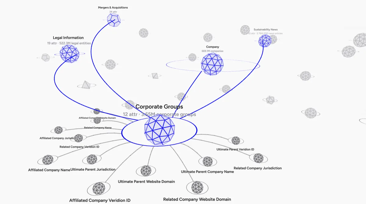 Veridion corporate groups data model visualization