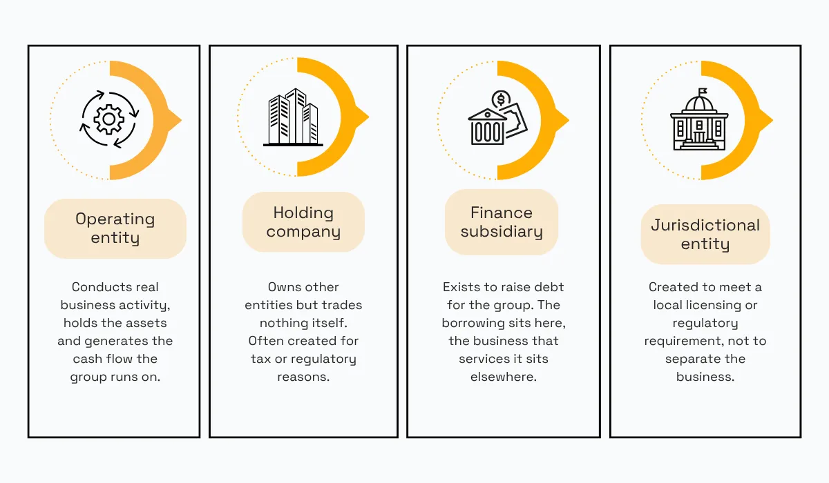 Comparison of four entity types in a corporate group: operating entities that conduct business and generate cash flow, holding companies that own other entities, finance subsidiaries used to raise group debt, and jurisdictional entities created for local licensing or regulatory requirements