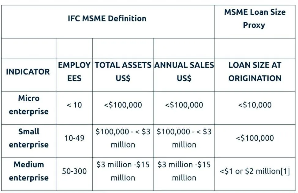 IFC MSME definition table comparing micro, small, and medium enterprises by employee count, total assets, annual sales, and loan size at origination