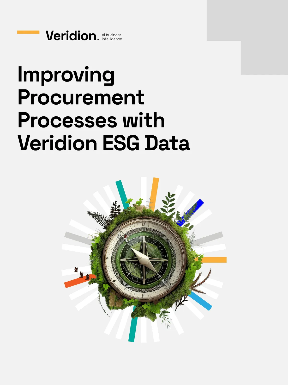 Improving Procurement Processes with Veridion ESG Data — report cover